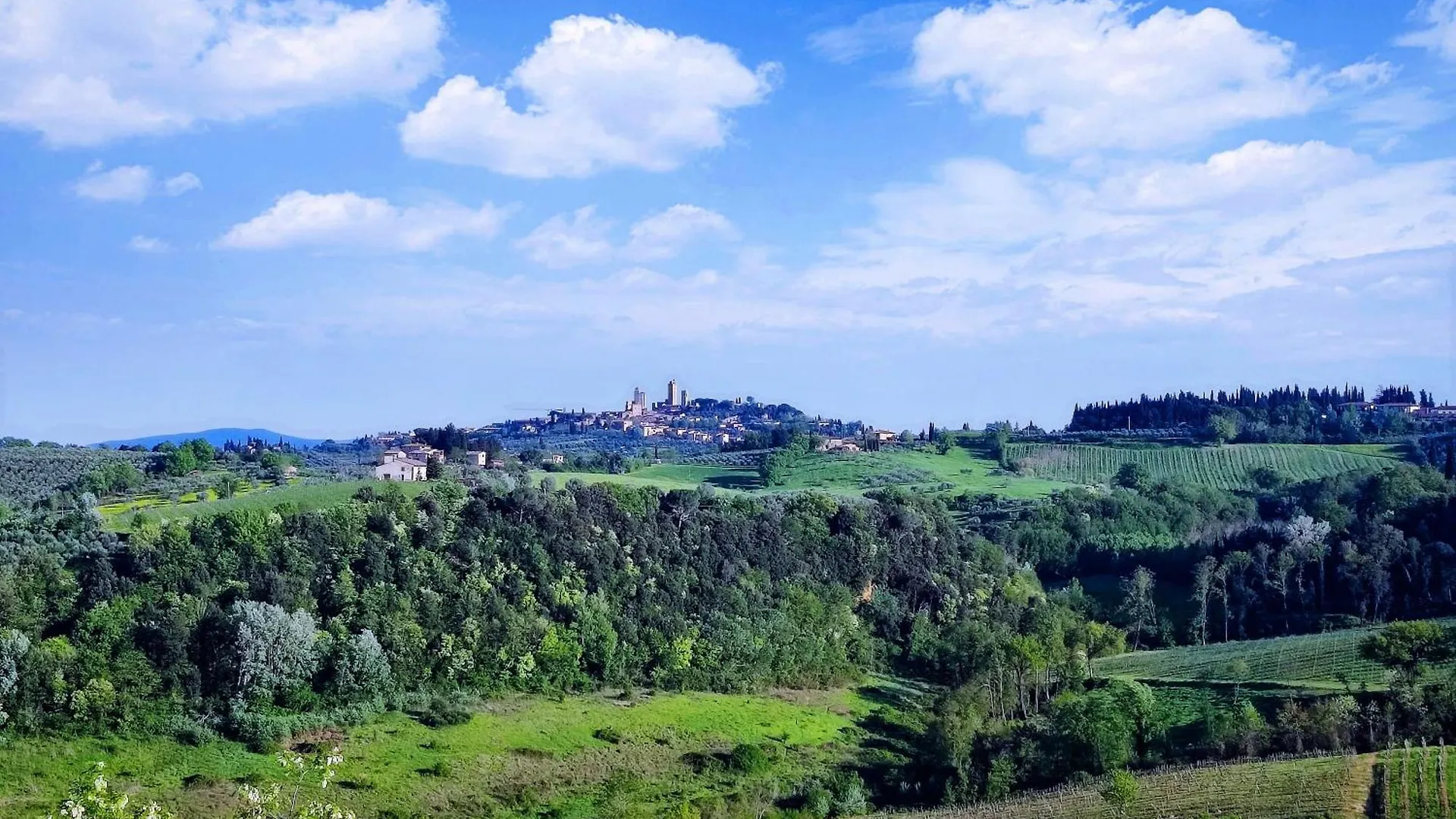 Flavia 'S Home With View San Gimignano Apartments